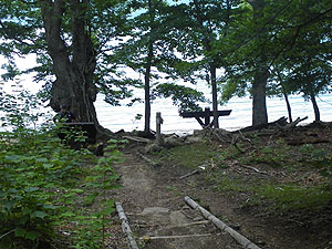 ���T����(�F�E)