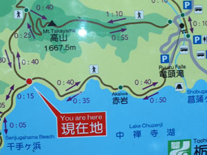 ���T����(�F�E)