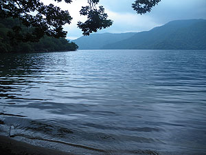 �F�E�̌ΔȂ��猩�����T����