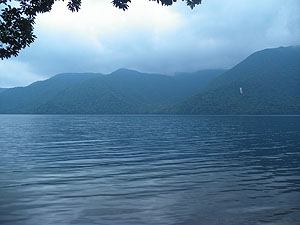 �F�E�̌ΔȂ��猩�����T����