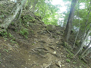 �}�ȓo��ɂт�����`