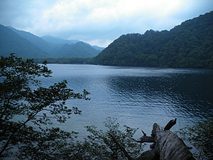 �o�R��������̌i�F