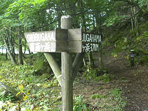 �W���������Ă����`