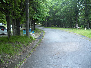 �A�X�t�@���g�̈�ʓ�