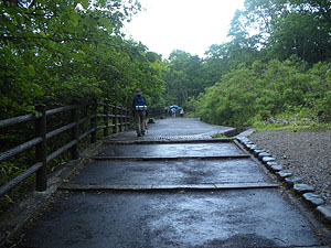 �����̑�V����