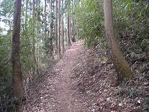 �o�R������̓o�R���B