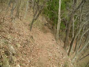 ��������̓o�R���B