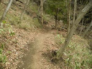 8���ڂ���̓o�R���B