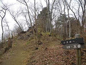 �L�ꂩ��̓o�R���B