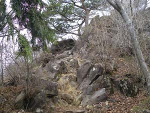 �����[�g���̊��