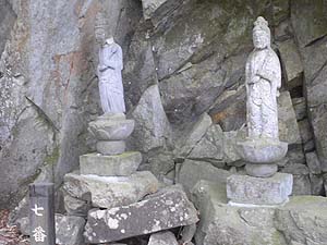 6�E7�Ԗڂ̊ω��l