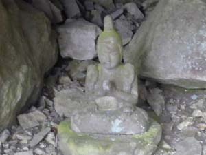 �ٓ���17�Ԃ̊ω����܁H