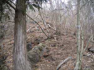 �}�ȓ���i�񂾁B