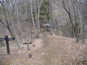 �{�ېՂ���̓o�R��