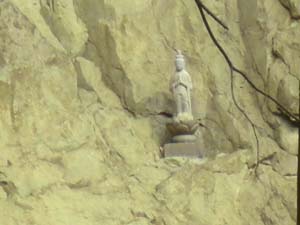 21�`25�Ԃ̊ω�����