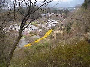 ���̉w�������Ă����`