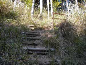 �ѓ�����̓o�R���B