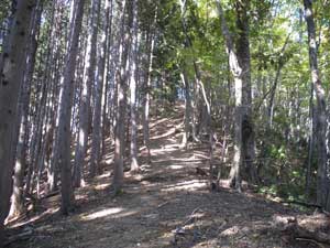 ���邢������