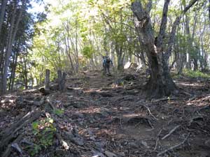 �o�R���͎Γx�𑝂����B