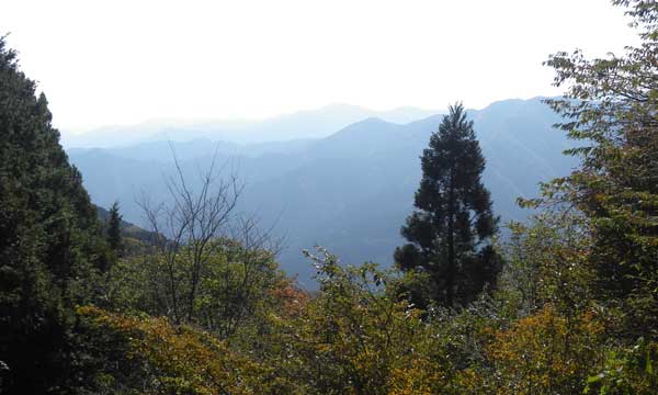 �R������̒���