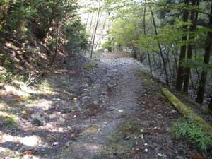 �������̗ѓ�