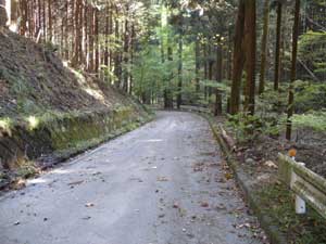 �A�X�t�@���g�̓�