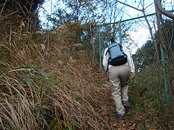 �t�F���X�̉�