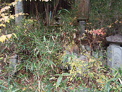 �Δ�H�Γ��H