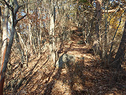 ���������̓�