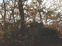 �����R�R��