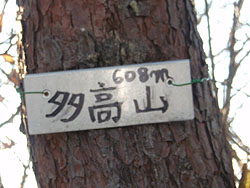 �����R�R��