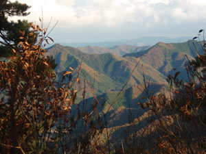 ���߂��ǂ��`