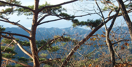 �������̎R�X