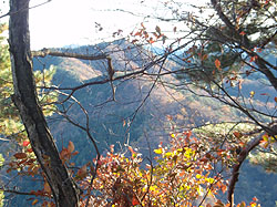 �Q���n�����t��