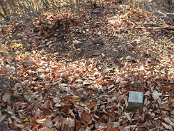 �Q���n�����t��