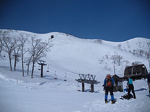 �V�_�����t�g