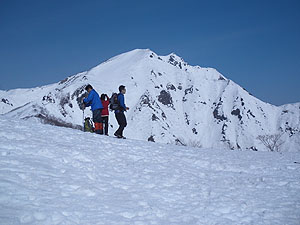 �V�_�����t�g