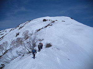 �R���͂��̃s�[�N�̐悾�낤���`�H