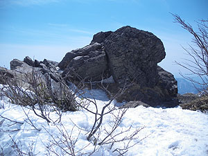 �V��̃g�}����