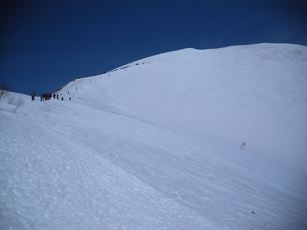 �V��̃g�}���ꂩ�猩���R������