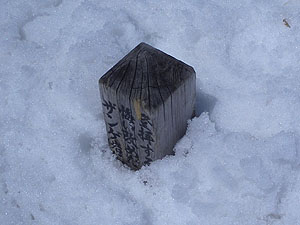 �V��̃U���P��