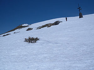 ���m�������猩���R������