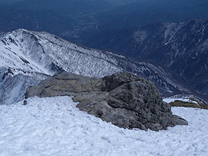 �V��̃U���P��