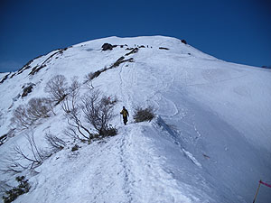 ���R���̗l�q�B