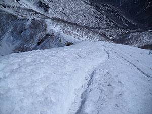 ���R���̗l�q�B