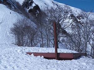 �F�������