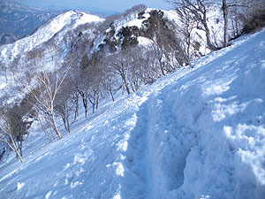 �F�����������̉��R���B