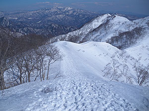 ��ꂩ��̉��R���B