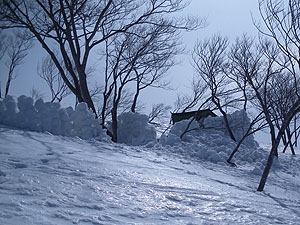 �����Ńe���g���H