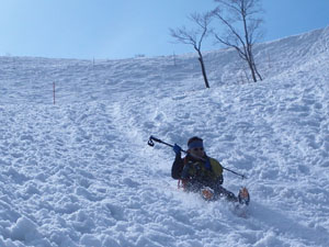 �K�X�L�[�����镐�c��